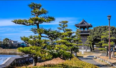 🌿 Atsuta Shrine, Garden Paths &amp; Old Port Roads