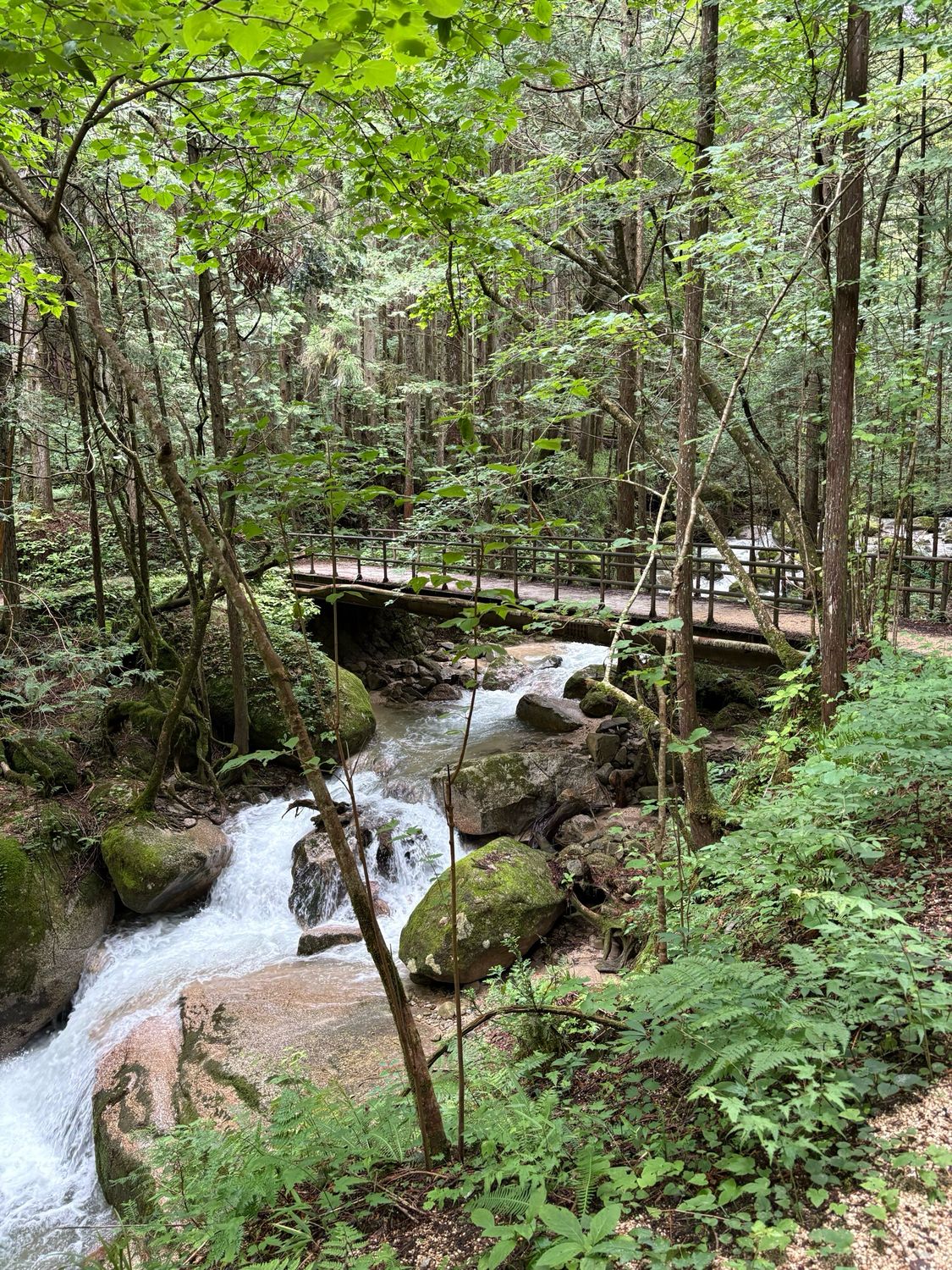 🏔️The Nakasendo Hiking Trail