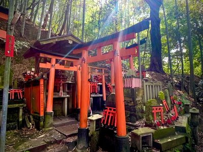 🗾 Legacy Journey: 8-Day Multi-Region Custom Route