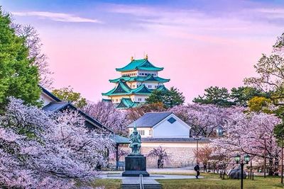 🎌 Nagoya Highlights