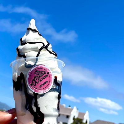 Soft Serve Tubs