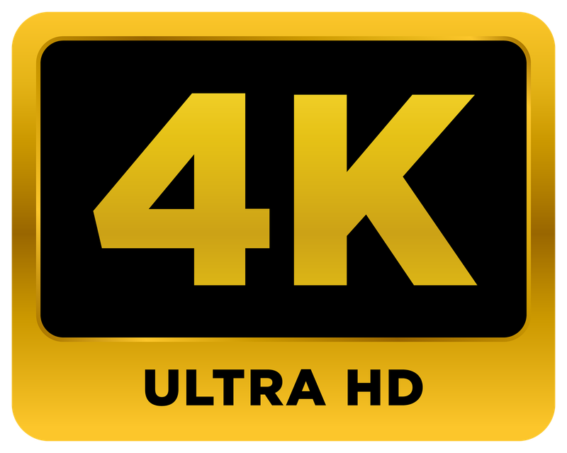 4K Videodatei (Download) - Auftritt 2 - 15.06.2024