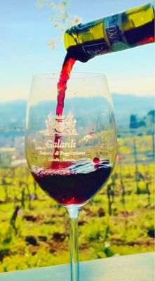eBike tour with a organic wine tasting in a local farm close to Firenze