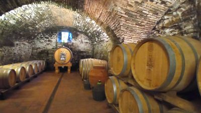 CHIANTI EXLUSIVE TOUR eBike + wine tasting + lunch + visit old vinery of Chianti