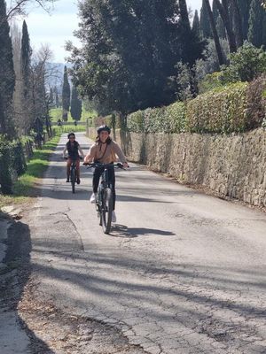CHIANTI EXLUSIVE TOUR eBike + wine tasting + lunch + visit old vinery of Chianti