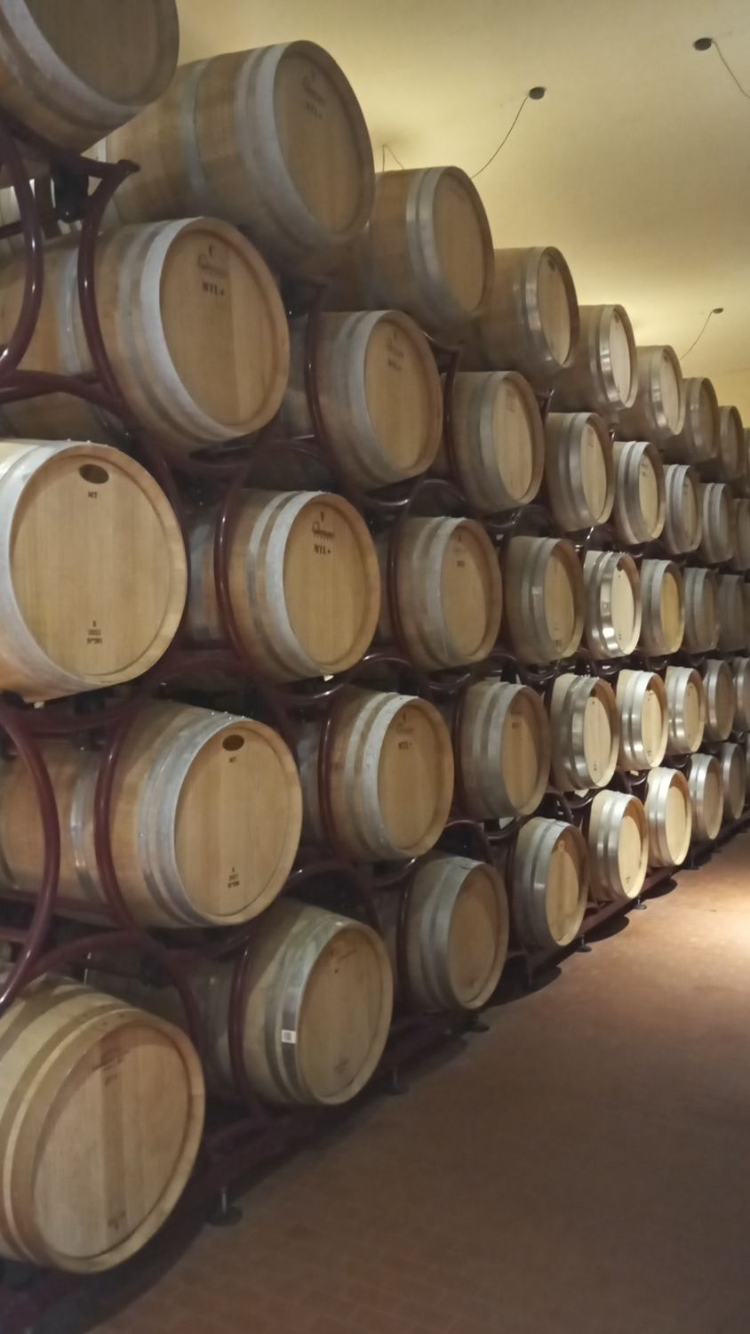 Castellina in CHIANTI vineyards tour + Exlusive location lunch