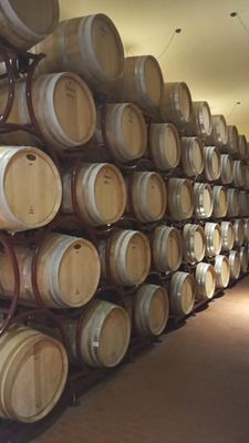 Castellina in CHIANTI vineyards tour + Exlusive location lunch