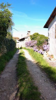 Firenze countryside: ride a Mountain bike with a local, amazing country trail