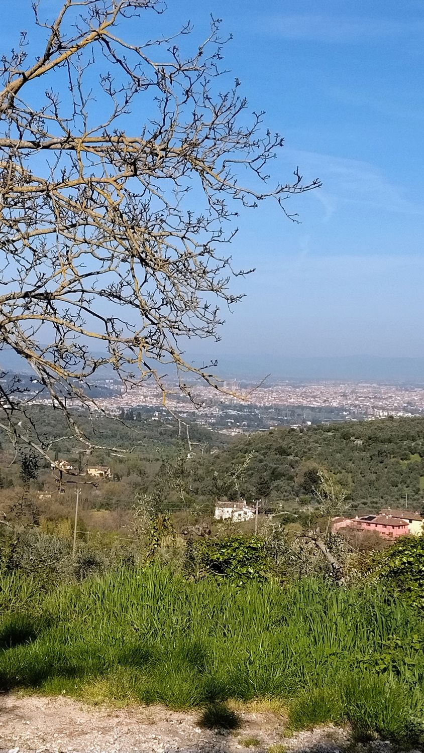Firenze countryside: ride a Mountain bike with a local, amazing country trail