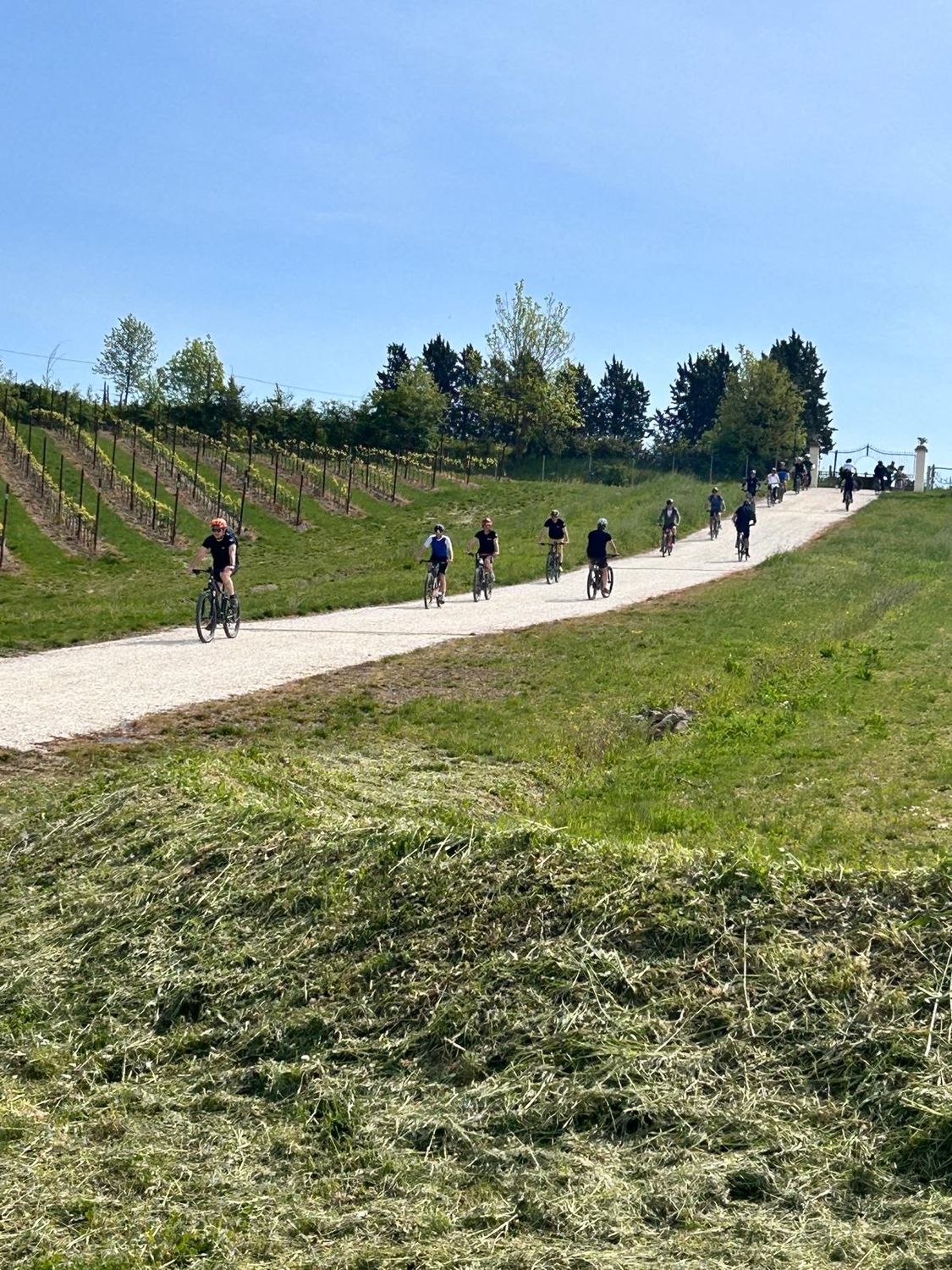 Weekend sulla Francigena in eBike - gustando i sapori toscani