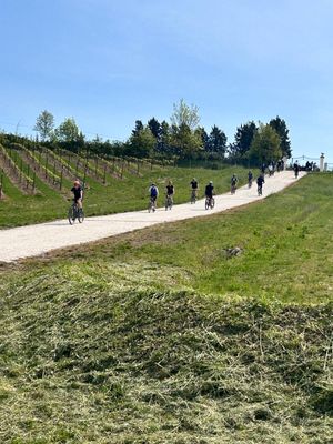 Weekend sulla Francigena in eBike - gustando i sapori toscani