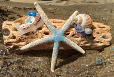 Star On The Beach
