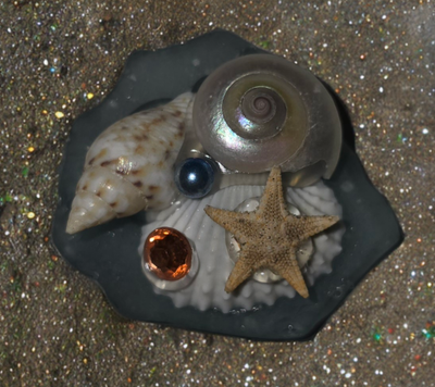 Seashore Surprise