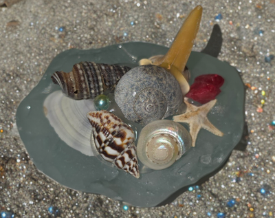 Beachcombers Treasure