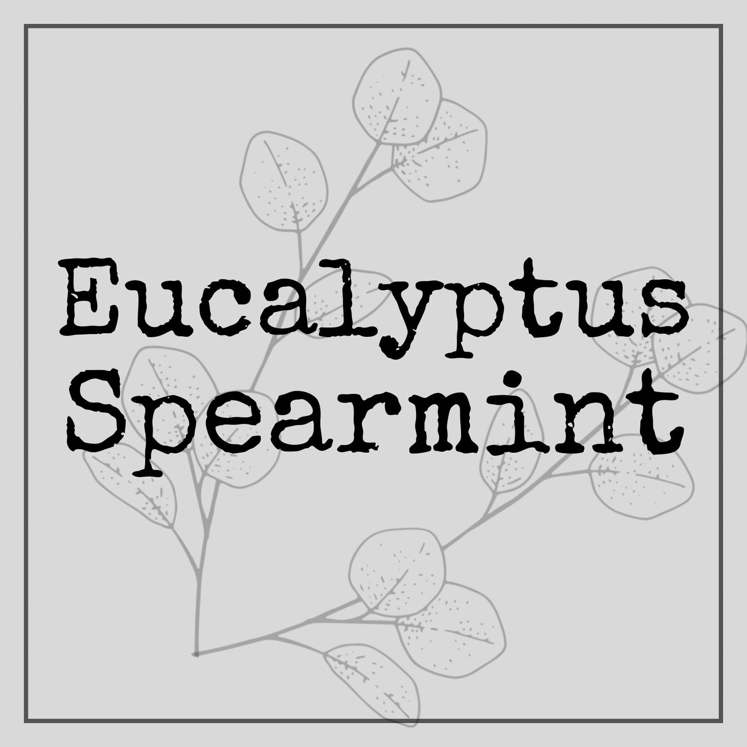 Eucalyptus Spearmint