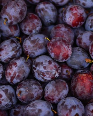 LAVANDE &amp; PRUNE - NOUVEAUTÉ