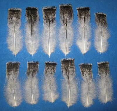 Black Mottled T-Base