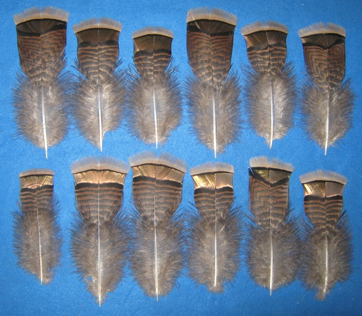 Red Bronze T-Base