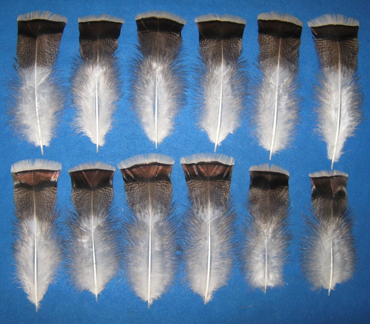 Stippled Bronze T-Base