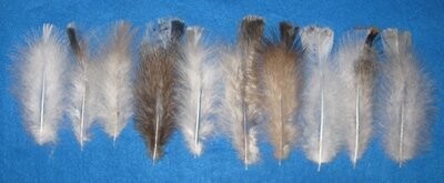 6-7 Inch Flat Tip Fluffs