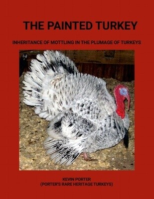 (The Painted Turkey Paperback Book)