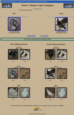 Turkey Color Calculator