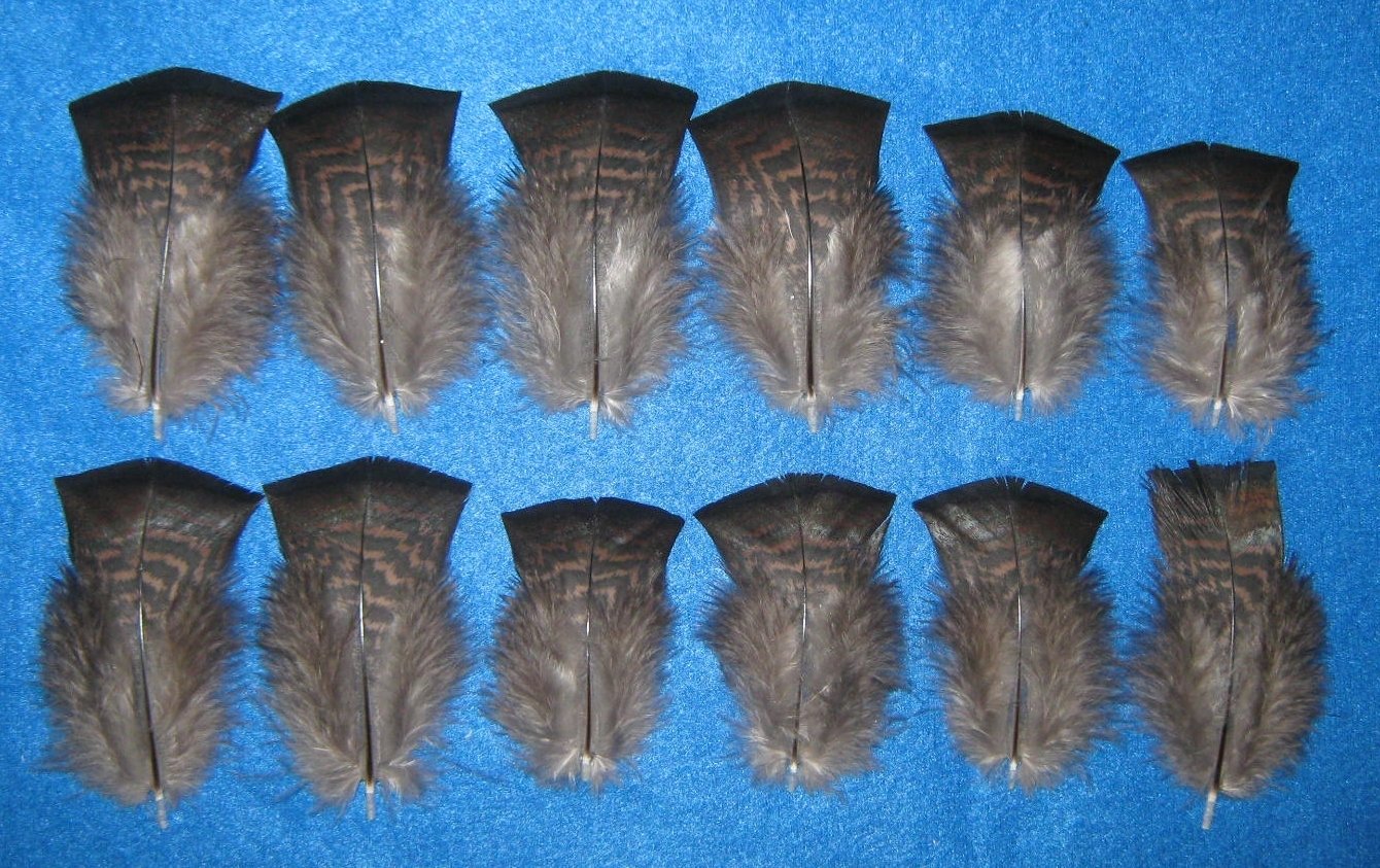 Red Bronze Body Cover Feathers