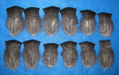 Red Bronze Body Cover Feathers
