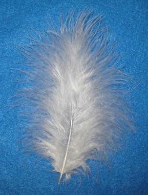 White Fluffs