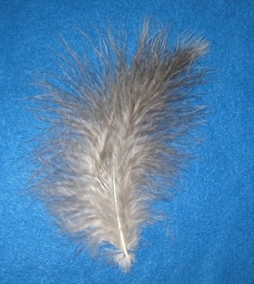 Sweetgrass Fluffs