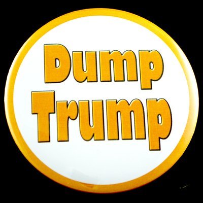 Dump Trump 3" Pin-back Button