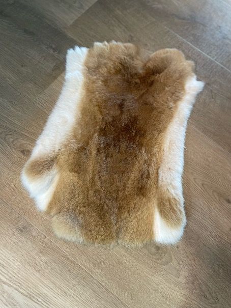 Konijnenvacht | Bruin - Créme