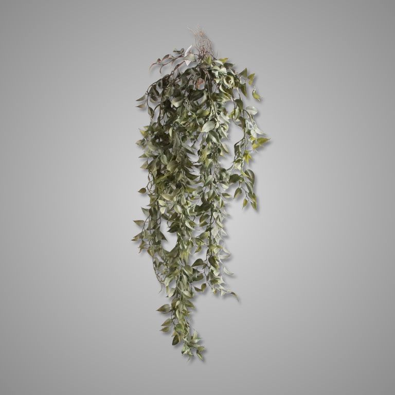 Brynxz | Zijde | Hangplant