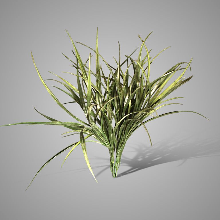 Brynxz | Grass Bush | 43cm