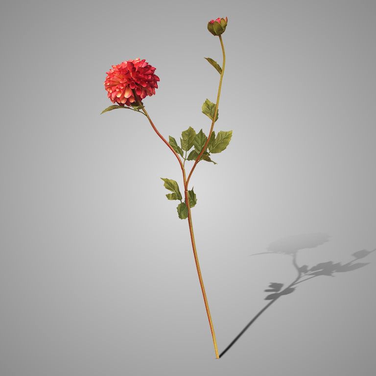 Brynxz | Dahlia | Pink