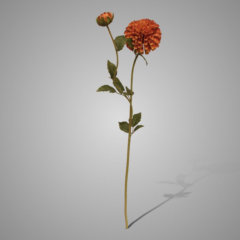 Brynxz | Dahlia | Brown/ Yellow