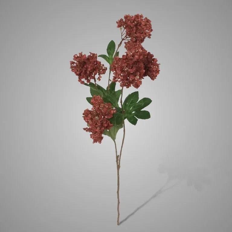 Brynxz | Zijdebloem | Hortensia