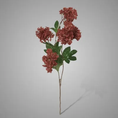 Brynxz | Zijdebloem | Hortensia
