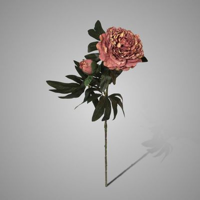 Brynxz | Peony | Roze