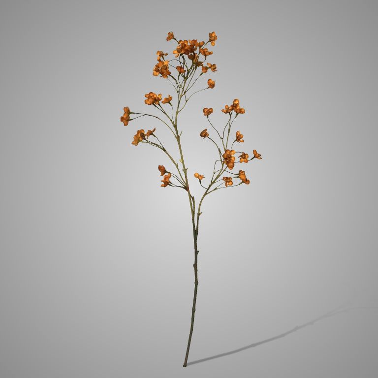 Brynxz | Cornus Copper