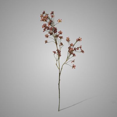 Brynxz | Cornus Purple