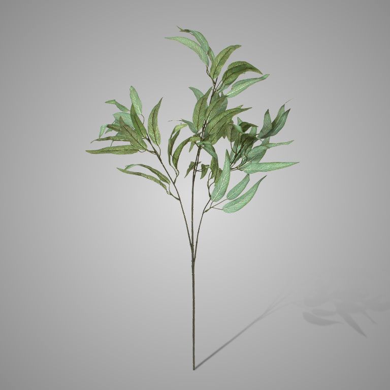 Zijdebloem | Mango Leaf