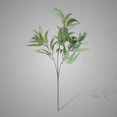 Zijdebloem | Mango Leaf