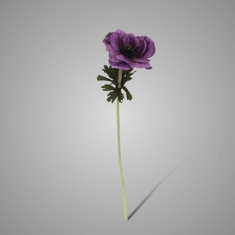 Brynxz | Anemone Paars