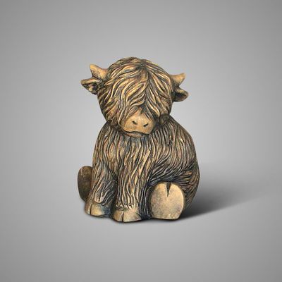 Brynxz | Schotse hooglander | Bruin