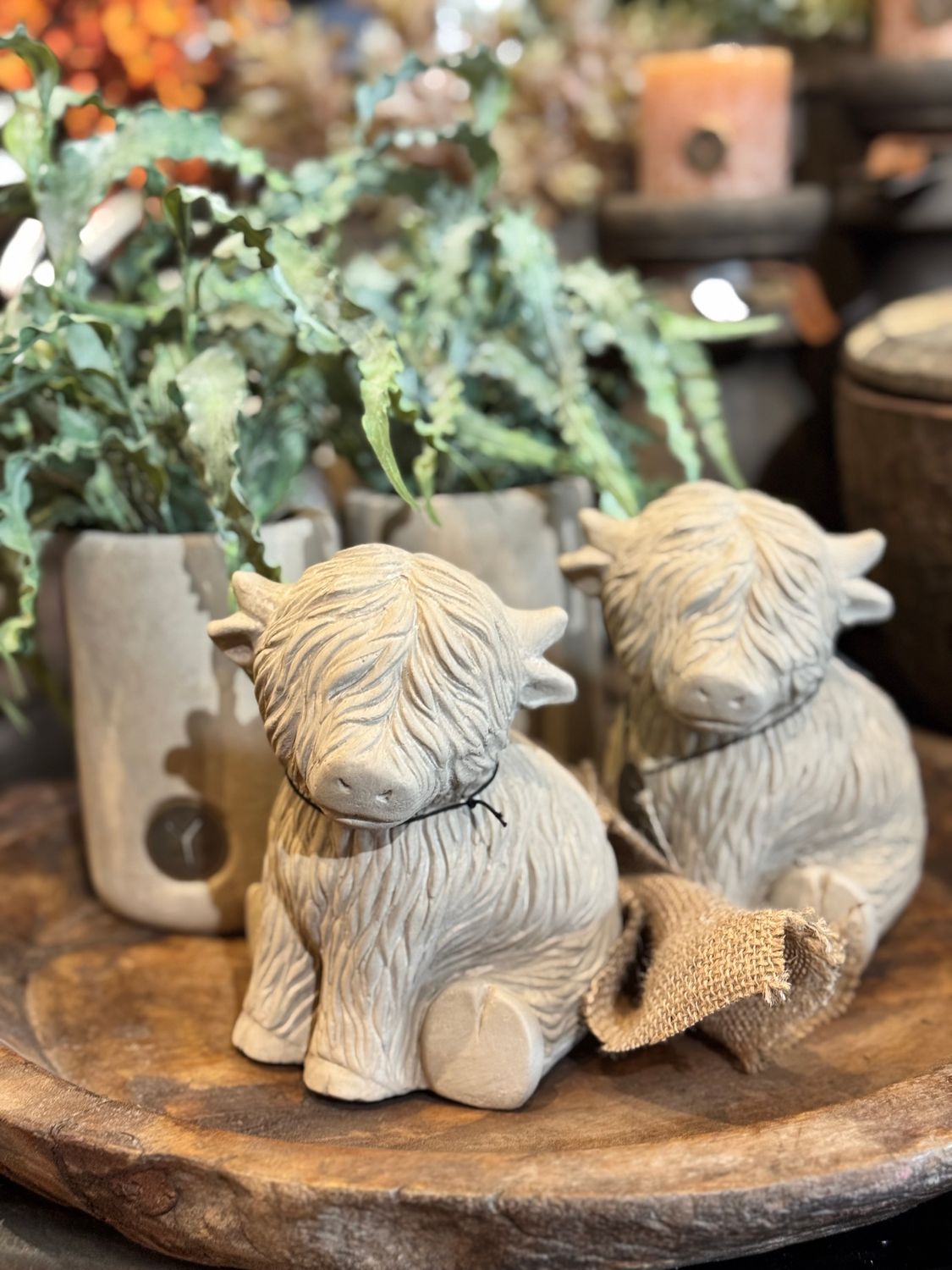 Brynxz | Schotse Hooglander | Taupe