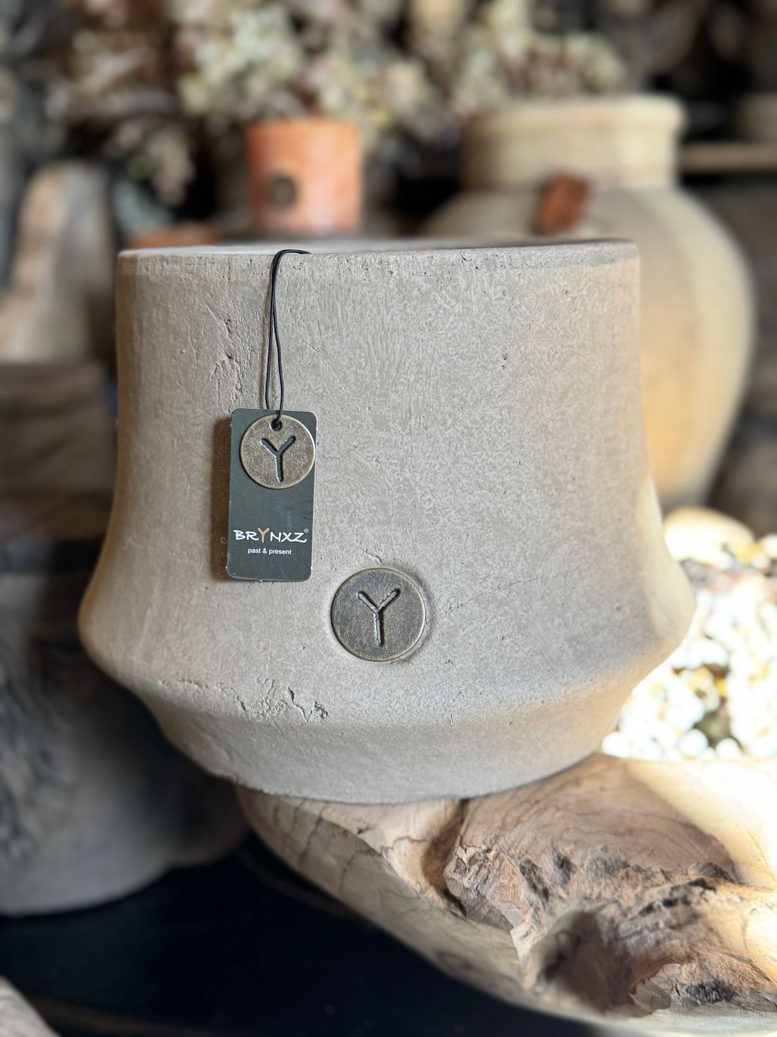 Brynxz | Bloempot | M