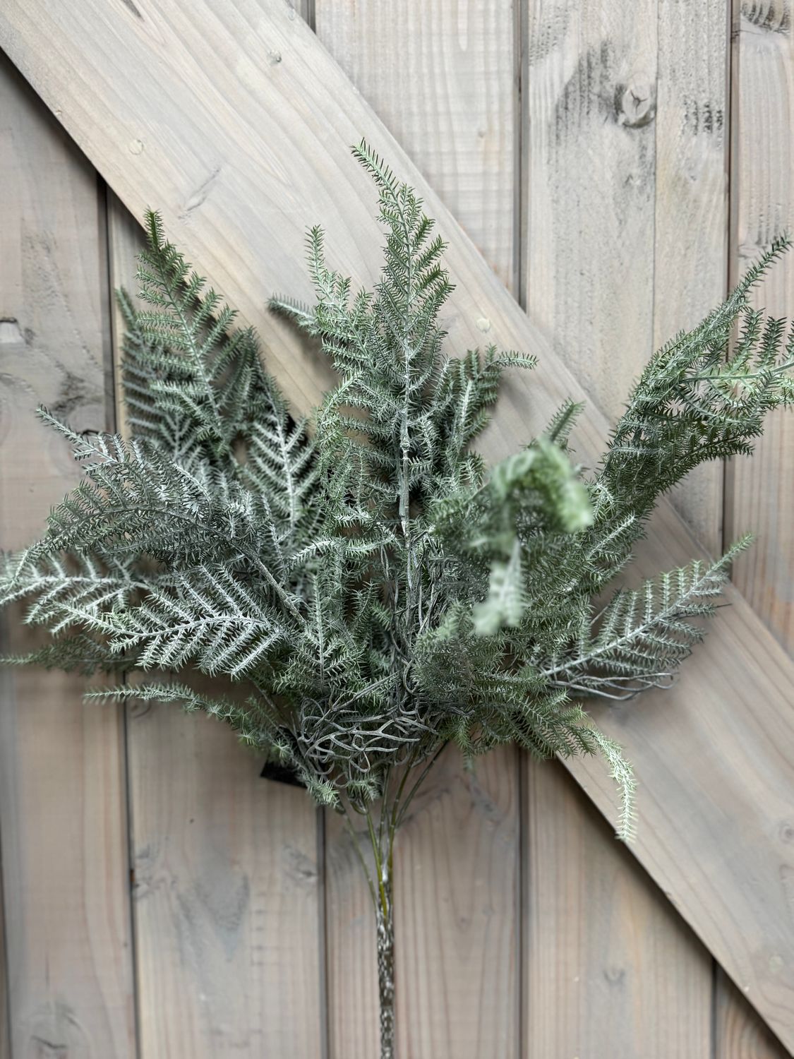 Asparagus | Zijdetoefje