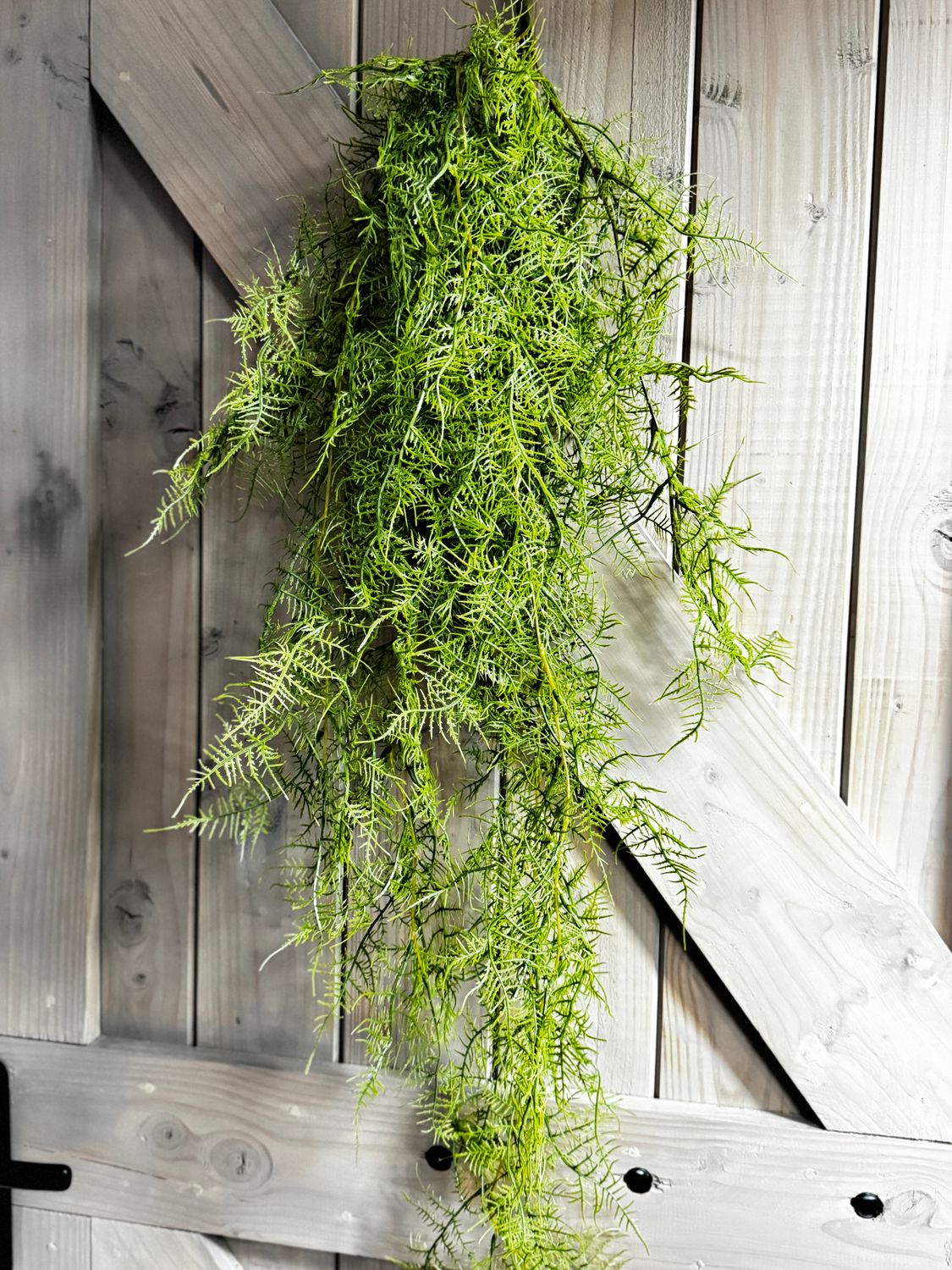 Kunstplant - Hangplant - Varen