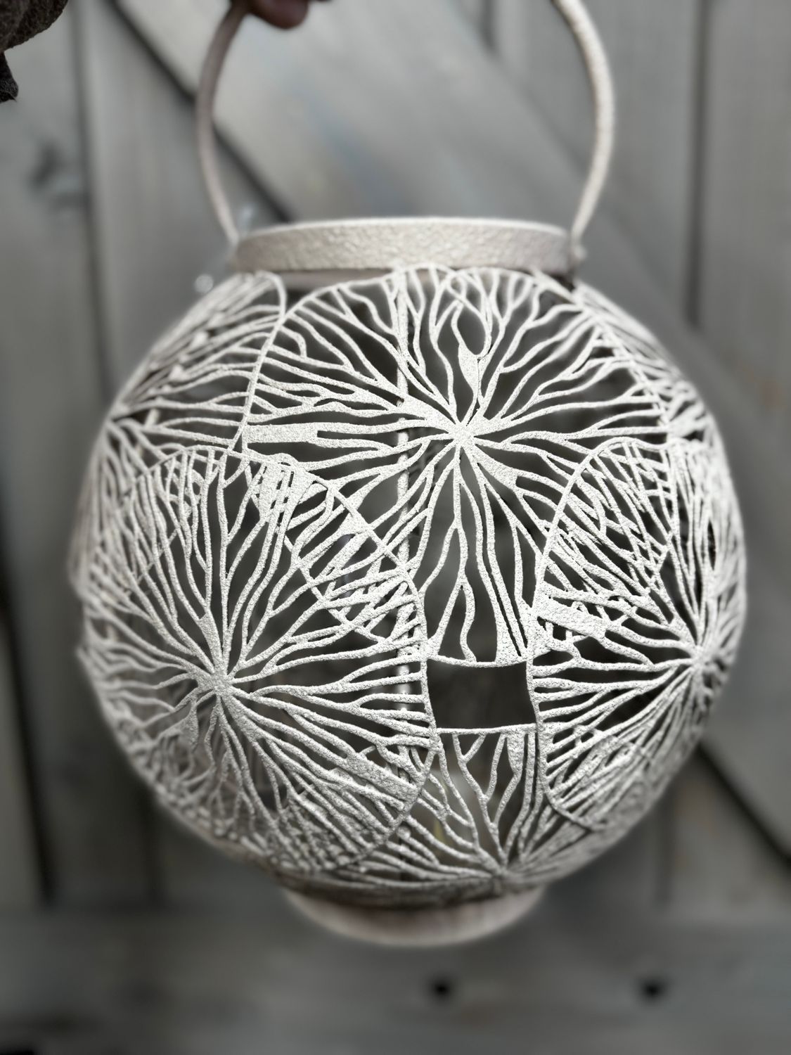 Windlicht Janine | Zalm